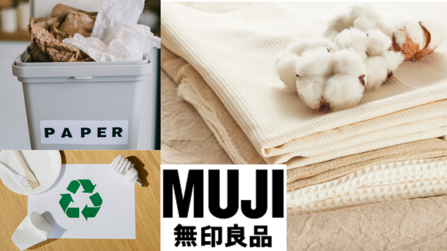 eco-friendly home decor brands