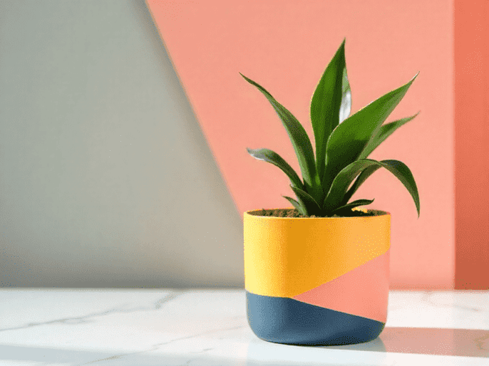 abstract color pots