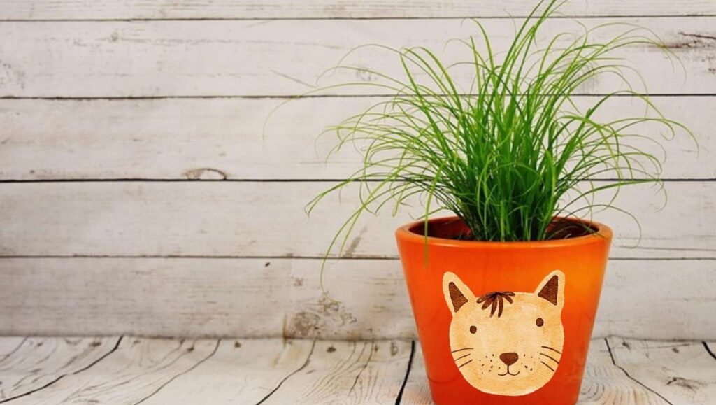 animal faces pots
