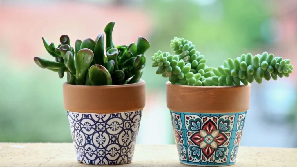tribal pattern